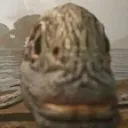 skrunkly