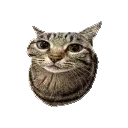 hellskitchenwaterphonesoundeffec hellskitchenwaterphonesoundeffec