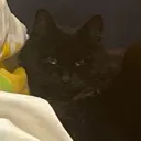 emoji_68