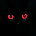 VAMPCATEXTRAred Discord Emoji