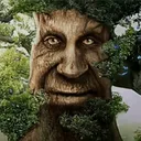 wise_tree