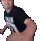 CZ_sumsmash