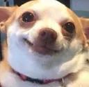 kyuNguFace