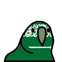 KSAParrotDance