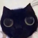 stare stare