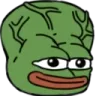 bigbrain