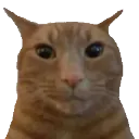 emoji_126