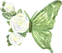 GC_rococo_butterfly GC_rococo_butterfly