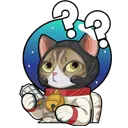 Confused
