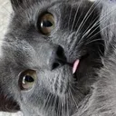 ScreenShot20230414at12