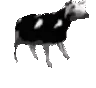 cowgaming