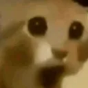 GASP