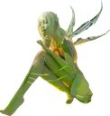 GC_green_nymph GC_green_nymph