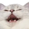 CATW