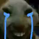 xddCry xddCry