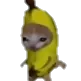 BananaCat