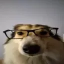 nerddog nerddog