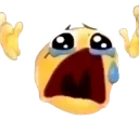 WHYYYYY
