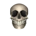 skul