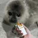 babysmoke2