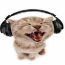 cat Discord Emoji