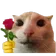 catRizz