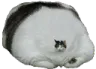 catafat2 Discord Emoji