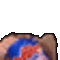 CZ_catchips
