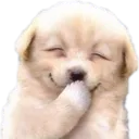 nasushehe Discord Emoji