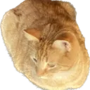 Saturn_loaf