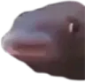 mmmm