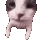 Catkiss Catkiss