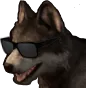 CoolOtto