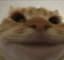 awkwardbigsmile