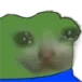 sadpepecat sadpepecat