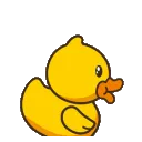 duckshockers