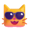 cat_face_cool2