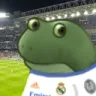frogebern frogebern