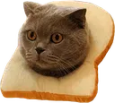 Breadcat