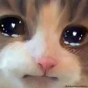 Sadcat Discord Emoji
