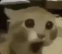 ThatsCrazy