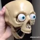 Toyskull