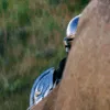 Pedro_PeekMando Pedro_PeekMando