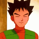 im_pokemon_brock_holup