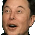 ElonPog
