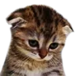 Sadge
