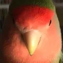 I_farted