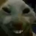 xdd
