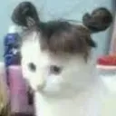 mishicone