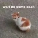 come_back